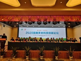 2020湖南茶业科技创新论坛在新化县举行