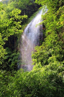 茶旅线路：贵州茶旅主题游 山水之间品香茗