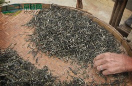 冰岛普洱茶的口感，勐库冰岛普洱茶特点