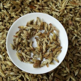 芽孢茶属于什么茶（芽孢茶属于再加工茶）