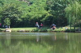 南京旅游景点大全：美丽江宁乡村--黄龙岘茶文化旅游村