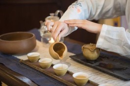 如何系统地学习茶文化？