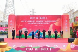 “六堡茶制作技艺、瑶族油茶习俗”宣传展示活动在南宁举行