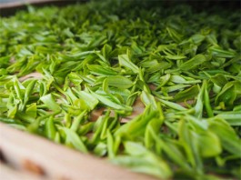 绿茶存放的原则主要有哪些 绿茶存放的原则介绍
