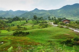 广西自治区休闲农业和乡村旅游大会在桂林召开