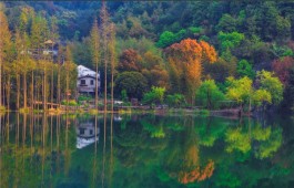 茶乡旅游精品线路——浙江绍兴 御茶古道·日铸茶文化旅游线路