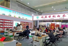武汉首开冬季茶博会，江城市民提前打起“年货茶”，这种茶最受宠