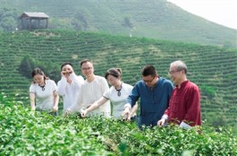 茶情结 ——我们的首届茶文化节
