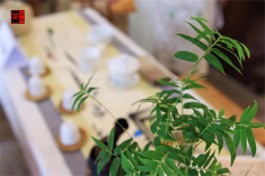 喝茶的12大禁忌，3大潜规则！