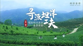 福安市农垦集团坦洋茶场茶旅研学火爆国庆黄金周
