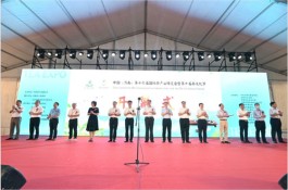 中国（济南）第十六届国际茶产业博览会暨第十届茶文化节盛大启幕