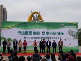 “行走百里茶廊 尽享茶乡风光”环南湾湖特色茶旅体验活动启动