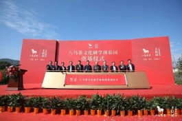 八马茶文化研学体验园开工奠基，首届武夷“双世遗”杯茶王赛颁奖典礼举行
