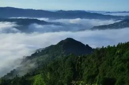 十大魅力茶乡：四川省平昌县