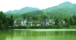 中国西部生态茶叶第一村——湄潭县核桃坝村