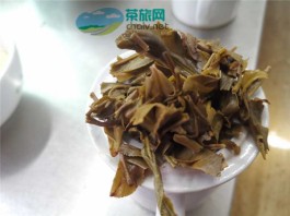 为什么大雪山的普洱茶那么稀有？