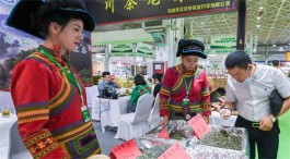 第九届中国呼和浩特茶产业博览会开幕