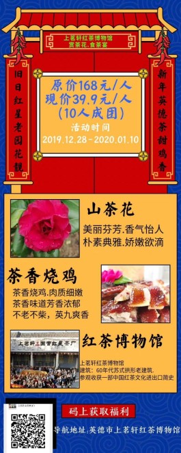 广东上茗轩隆重推出迎新年茶旅项目：赏茶花，食茶宴，参观红茶博物馆