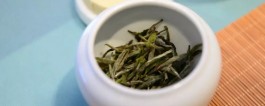 白茶属于什么茶种 白茶属于微发酵茶