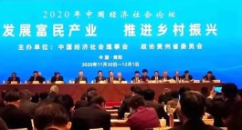 浙茶集团受邀在“2020年中国经济社会论坛”作产业扶贫企业案例交流发言