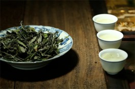 喜欢白茶，懂了会深爱！