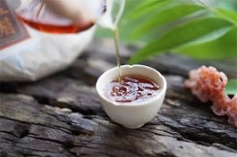 江苏省茶制作专项提升培训班在扬州开班