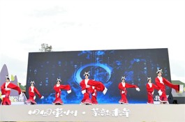 荣县第十五届茶旅风情季推介活动在成都举行