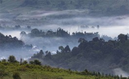 普洱茶经久不衰的五大山寨，爱喝普洱茶的朋友一定不能错过