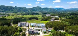 凤冈县：茶旅融合推进构建生态“森林康养小城”