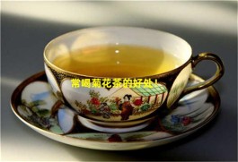 什么是菊花茶？喝菊花茶有什么好处？