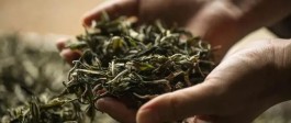 2021年6月中国茶叶进出口数据
