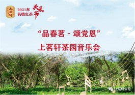 3月28日！上茗轩头采节暨茶园音乐会欢迎您！