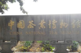 以展示茶文化为主题的博物馆，带你领略别样的茶文化世界