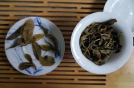 猫耳朵古树茶价格 倚邦猫耳朵古树茶产地