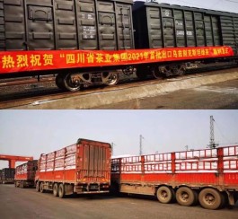 川茶集团产品走出国门销往中亚，首批出口120吨！