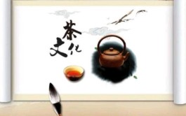 漫谈中国茶文化，喝什么茶大有讲究