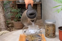 金银花茶如何冲泡（金银花茶的冲泡方法）