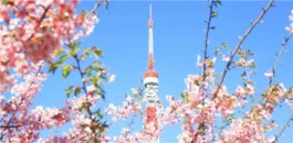 研学旅游需开启“研学+”新模式