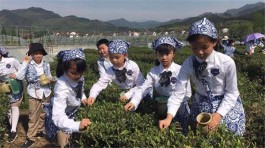 漳州天福茶观光工厂：畅享天福茶文化之旅
