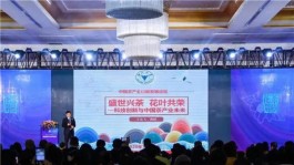 探讨茶叶全价利用 中国茶产业创新发展论坛在杭州举行
