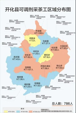 “三色图”“候鸟团”，开化破解茶企用工难题有新招→