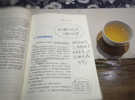 一壶茶，一本书