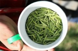 怎么喝绿茶 喝绿茶的方式