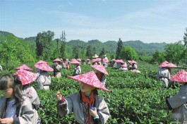 研学旅行 拓展视野