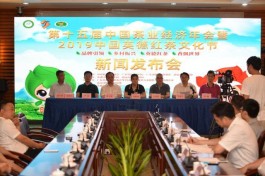 第十五届中国茶业经济年会暨2019英德红茶文化节将在英德市举办