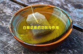 白菊花茶的功效与作用