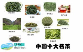 中国十大名茶指哪些茶？