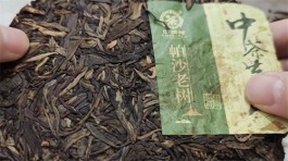 帕沙古树茶是哪个茶区的（帕沙古树茶的口感特点）