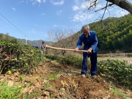 黄山休宁县加快推进茶旅融合项目建设