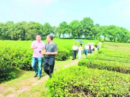 以茶促旅、以旅兴茶！岳阳首批旅行社考察茶旅精品线路